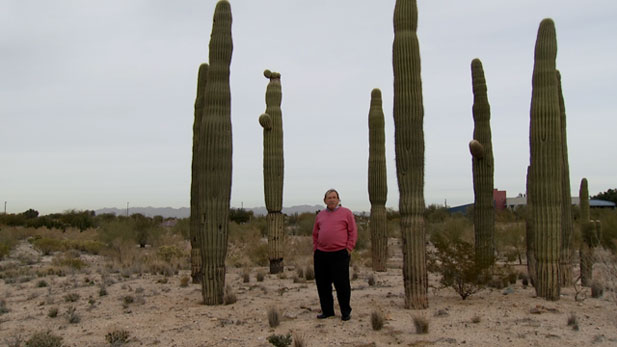 011812 Prickly Park 617x347