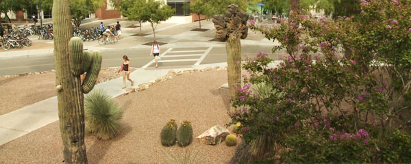 University of Arizona campus
