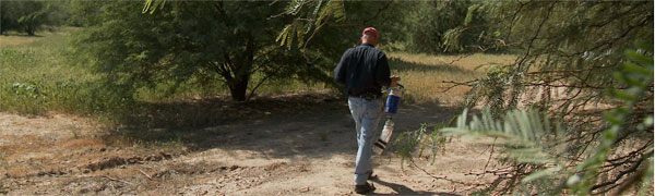 Mosquito traps