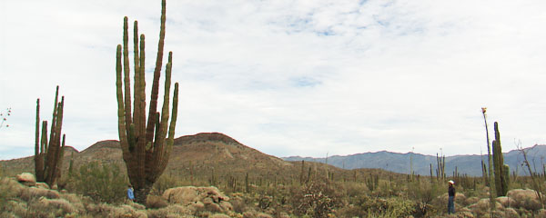 National Parks balance access and preservation