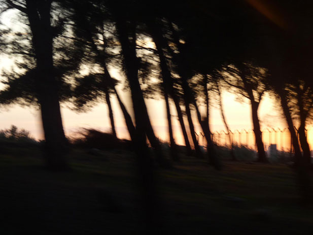 soliz-photo