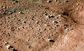 surface of Mars near lander