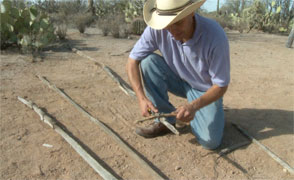 Jesus Garcia is a naturalist