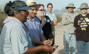 Stella Tucker harvests saguaro fruit