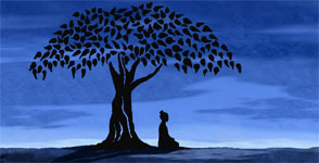 PBS Buddha
