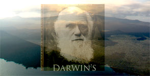 Darwin's Lab