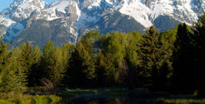 Grand Teton