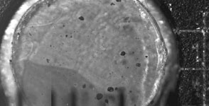 The mission's Optical Microscope observed particles that had fallen onto an exposed surface