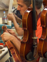 SW Strings