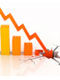 Economy