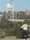 Treecycle