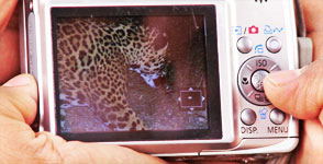 ds1906 jaguar camera ds1906 jaguar camera