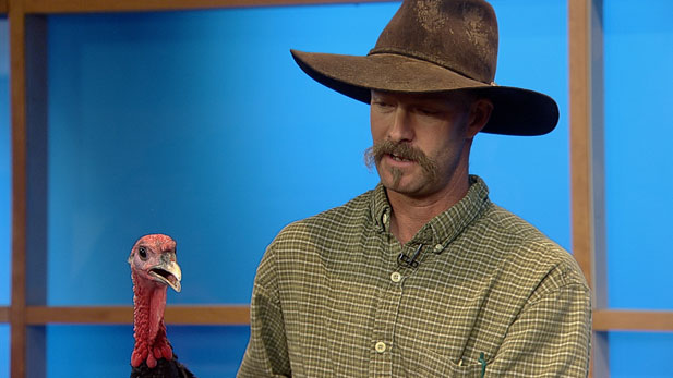 Jim McManus from Walking J Farm and his turkey join Kimberly Craft in the studio.