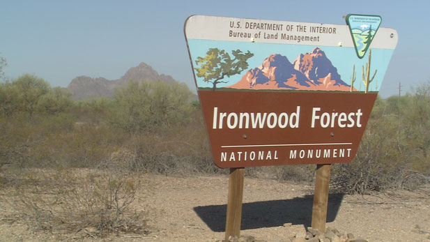 The Ironwood Forest National Monument celebrates its 10th anniversary.