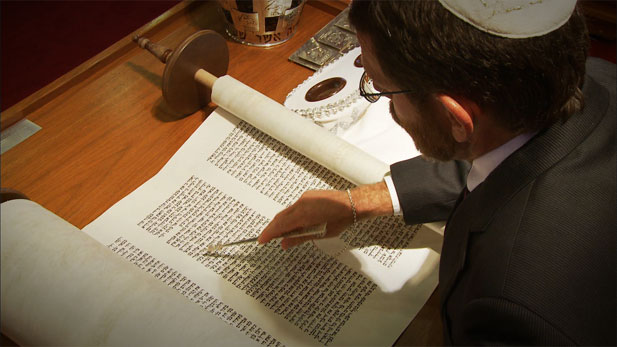 torah_spotlight