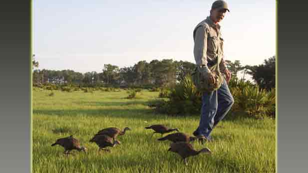 nature_life_turkey_2_spot