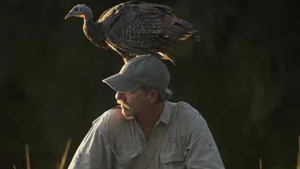 A turkey perches on Jeff Palmer's head.