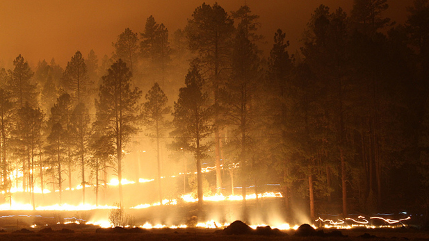 Over 3,000 firefighters battled Arizona's record-breaking Wallow Fire.