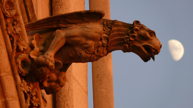 nova_cathedrals_gargoyle_spot