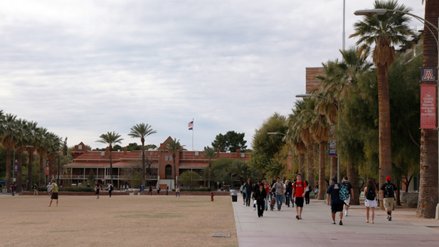 The University of Arizona