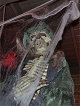 az_spot_skeleton_portrait-160x210