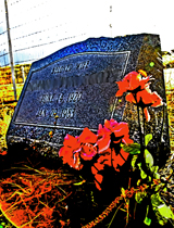 cemetery_160x210