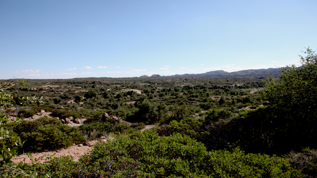 Oak Flat, in the Tonto National Forest east of Superior. Resolution Copper Mining has proposed building a large underground copper mine at the site. 