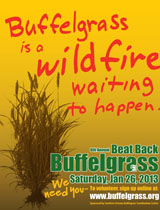 beat back buffelgrass day portrait beat back buffelgrass day portrait