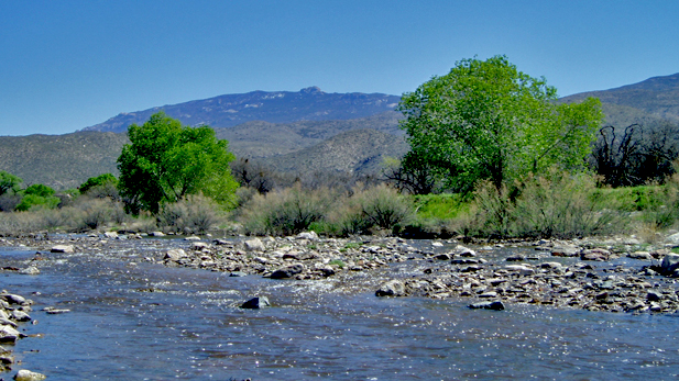 Redington Pass seen to the left; Rincon Mountains to the right. Image taken from La Cebadilla Estates by a resident on a rare day when Tanque Verde Wash was flowing.