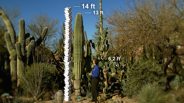 President Obama's 4th quarter 2011 campaign finance report would stack to 14 feet if printed out.