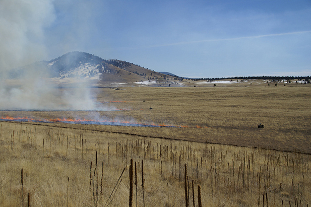 forest_gov-prairie-burn_fullframe forest_gov-prairie-burn_fullframe