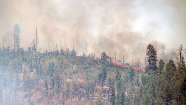 The Bull Flat Fire on Fort Apache Indian Agency land in eastern Arizona.