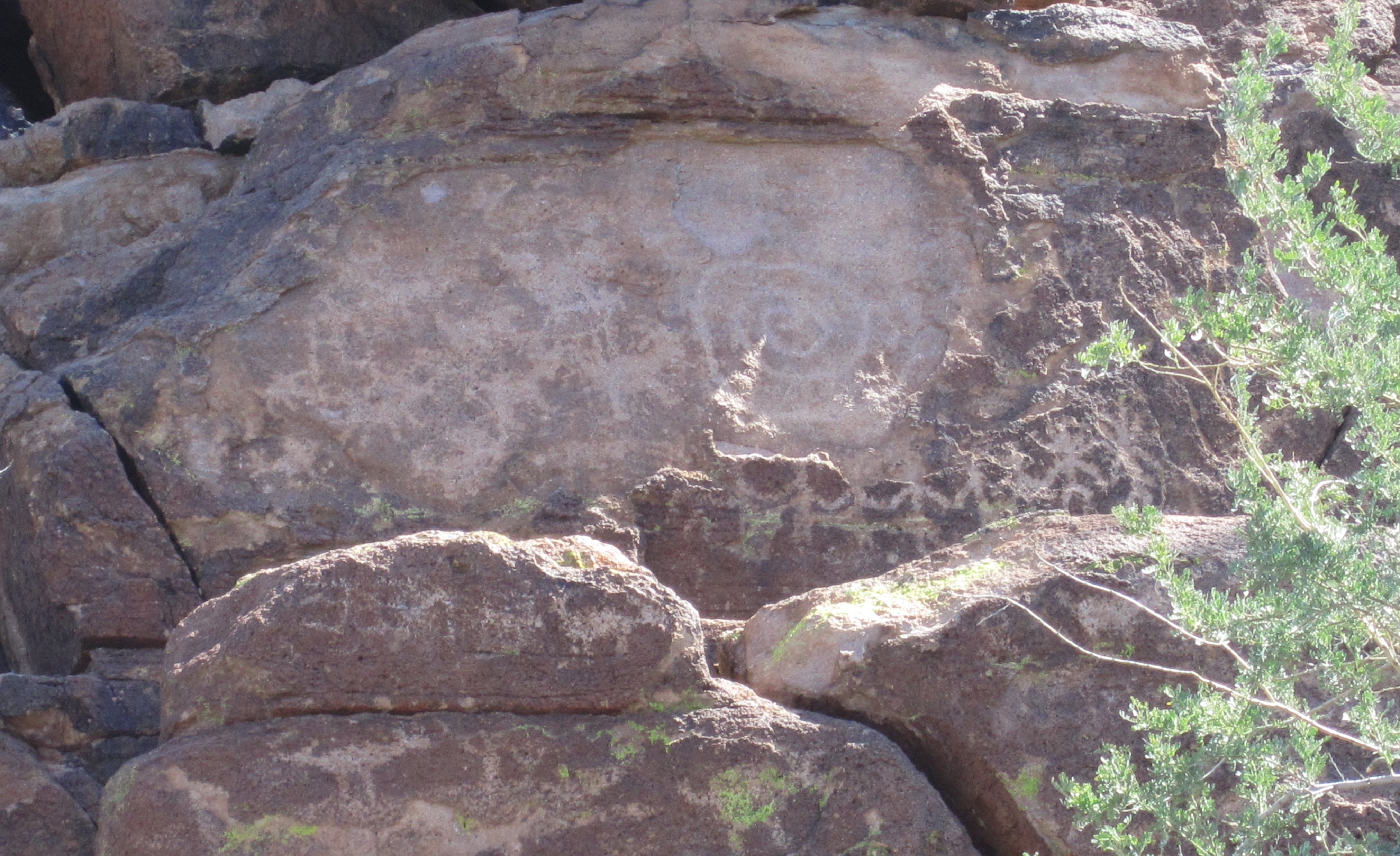 rock petroglyph spotlight