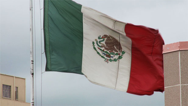 Mexican Flag SPOT