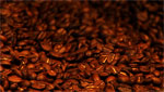 EXO Roast, a new coffee roasting company, has opened in downtown Tucson and the owners are banking on a boon in business as the area prepares for the arrival of the modern streetcar.