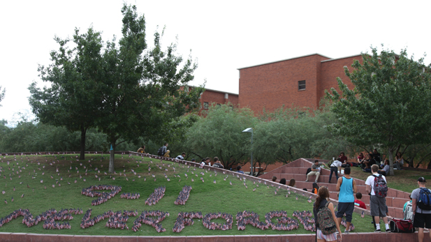 Flags at the University of Arizona marking the 11th anniversary of the Sept. 11 attacks.
