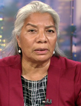 Petra Falcon