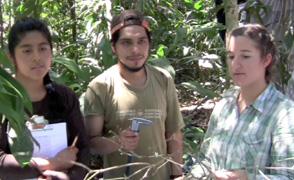 Amazon research large