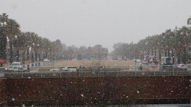 Large snowflakes fell over Tucson for about an hour Wednesday.