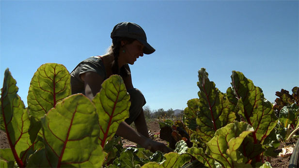 A look into the Sleeping Frog Farms.