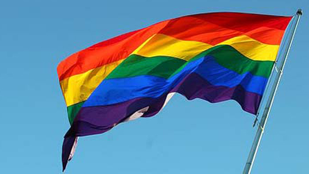 LGBT Flag Spotlight