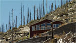 The tenth anniversary of the Aspen Fire on Mt. Lemmon; what does the mountain look like now, how is it recovering, concerns for the future
