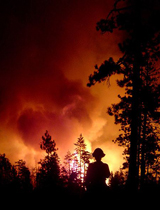 firefighter-burn-silhouette_160x210