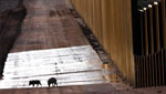 There is one idea which would spend billions of additional dollars for personnel, equipment and barriers along the border with Mexico, but this is raising red flags for environmentalists.