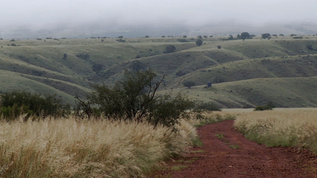 Grasslands SPOT