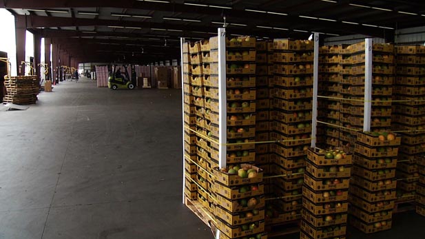 Fresh fruit sits on the loading dock of Mariposa Port, ready for inspection. 