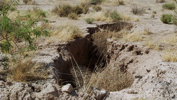 An earth fissure. Fissures in the earth surface, caused by record lowering of the acquifer, and the earth above cracking open. 