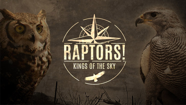 Raptors! Kings of the Sky