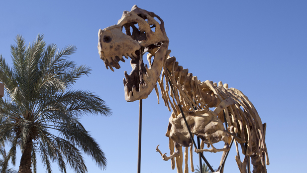 Dinosaur fossil outside museum in Erfoud, Morocco