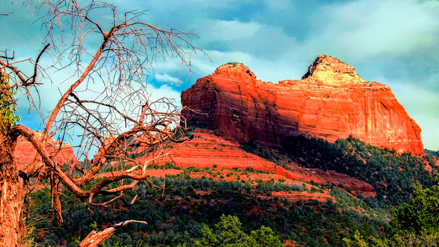 Sedona's red rocks.